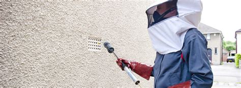 Wasps removal thirlmere  Request An Estimate (281) 730-9500